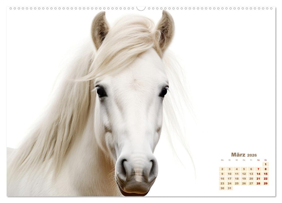 Weiße Tierwelt (CALVENDO Wandkalender 2026)