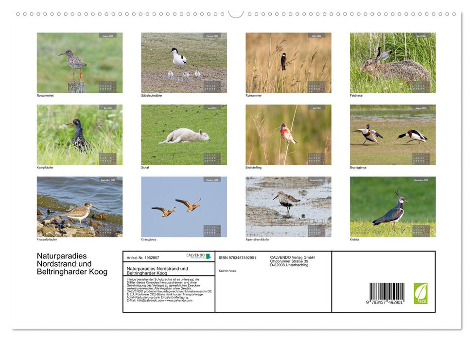Naturparadies Nordstrand und Beltringharder Koog (CALVENDO Premium Wandkalender 2026)
