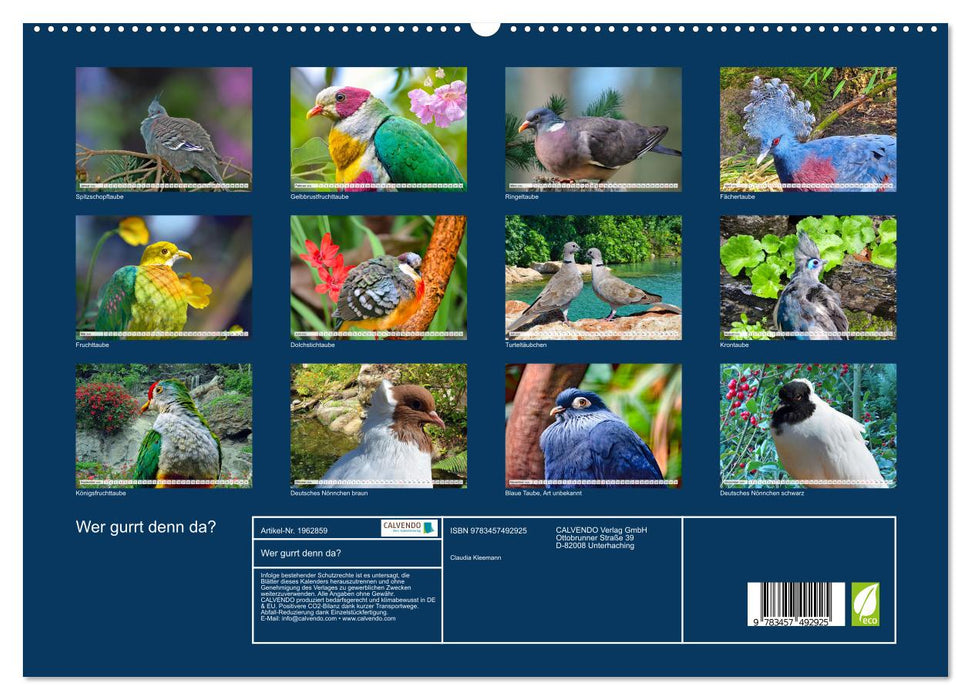 Wer gurrt denn da? (CALVENDO Premium Wandkalender 2026)