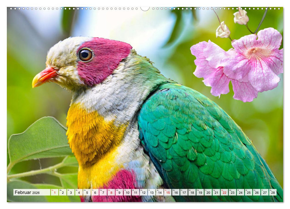 Wer gurrt denn da? (CALVENDO Premium Wandkalender 2026)