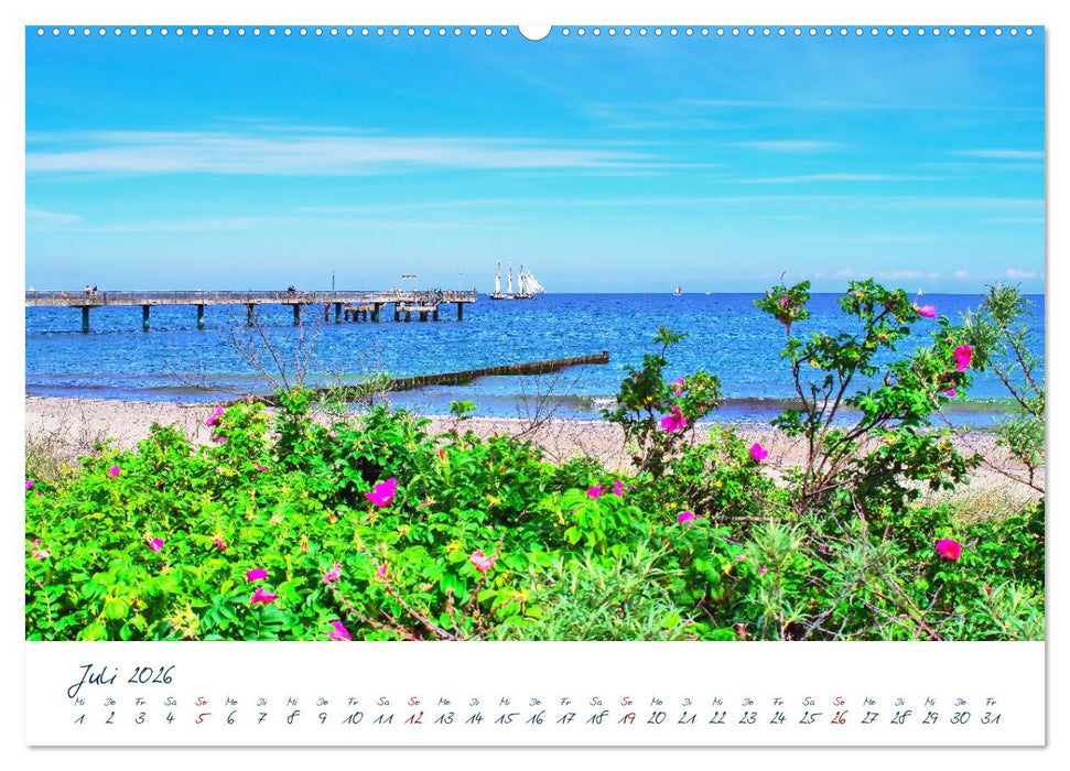 Seebrücken an der Ostsee - Aufs Meer laufen und die frische Ostseebrise genießen (CALVENDO Premium Wandkalender 2026)