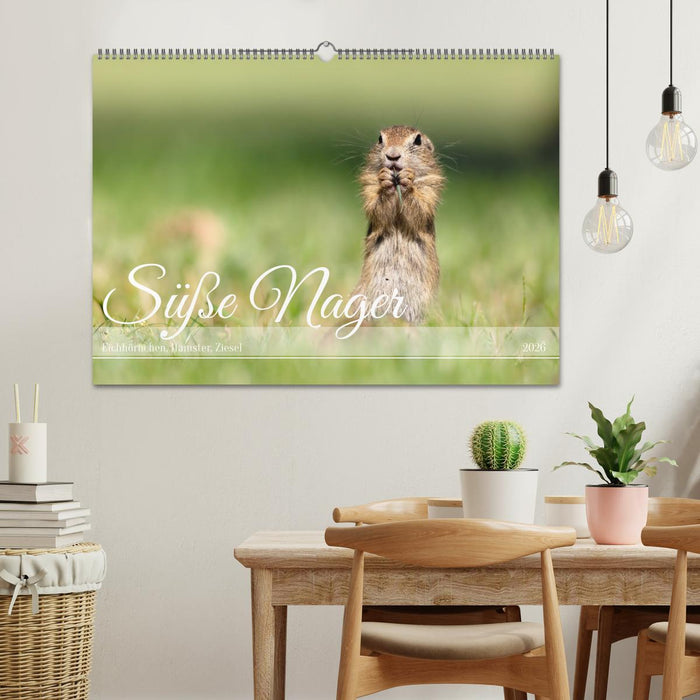 Süße Nager (CALVENDO Wandkalender 2026)