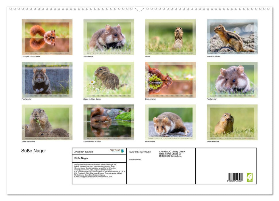 Süße Nager (CALVENDO Wandkalender 2026)