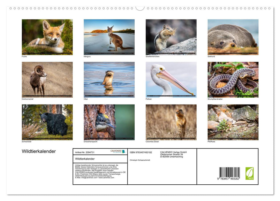 Wildtierkalender (CALVENDO Premium Wandkalender 2026)