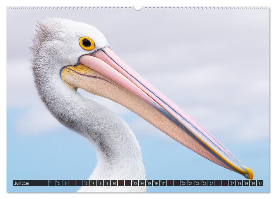 Wildtierkalender (CALVENDO Premium Wandkalender 2026)