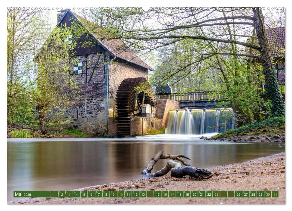 Dülmen - Wildpferde, Burgen und Schlösser (CALVENDO Premium Wandkalender 2026)