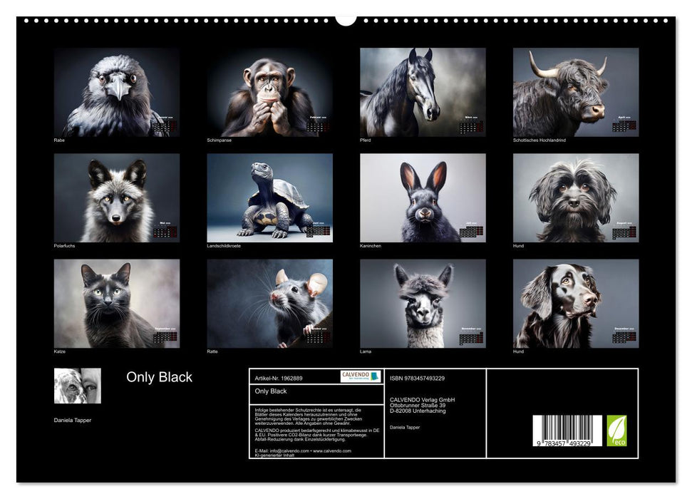 Only Black (CALVENDO Premium Wandkalender 2026)