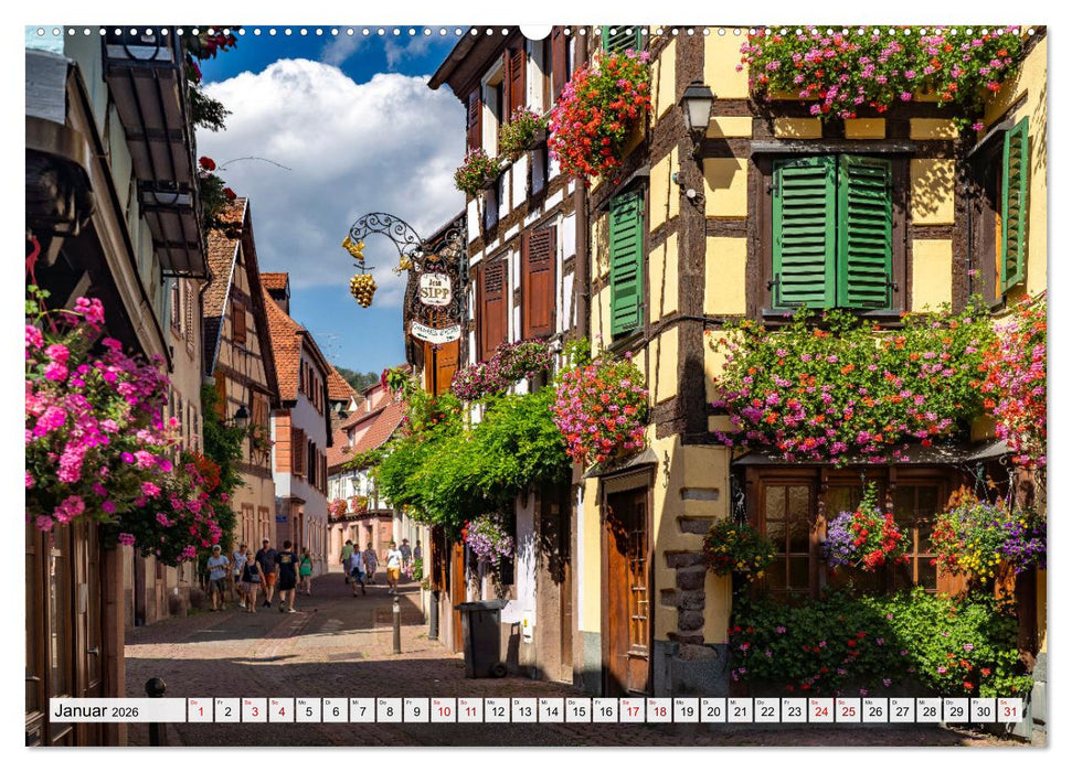 Die Elsässer Weinstraße (CALVENDO Wandkalender 2026)