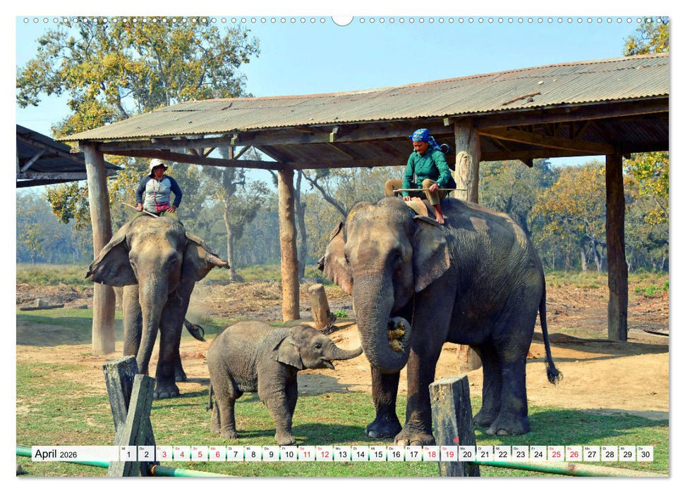 Das TERAI, Nepals fruchtbare Tiefebene (CALVENDO Premium Wandkalender 2026)