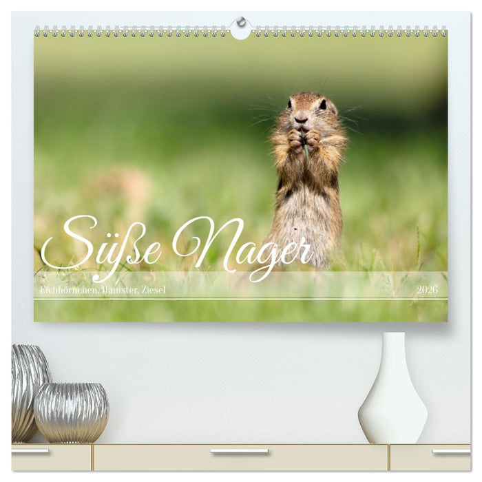 Süße Nager (CALVENDO Premium Wandkalender 2026)
