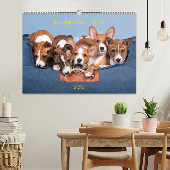 Basenji-Schönheiten (CALVENDO Wandkalender 2026)