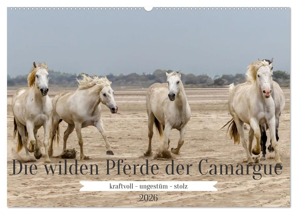 Die wilden Pferde der Camargue (CALVENDO Wandkalender 2026)