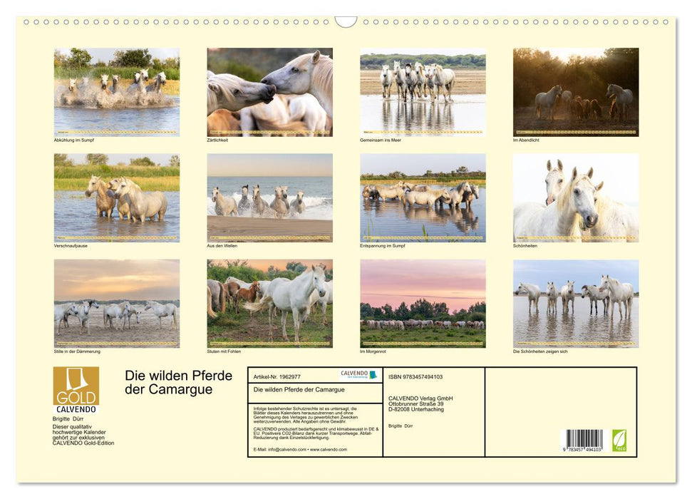 Die wilden Pferde der Camargue (CALVENDO Wandkalender 2026)