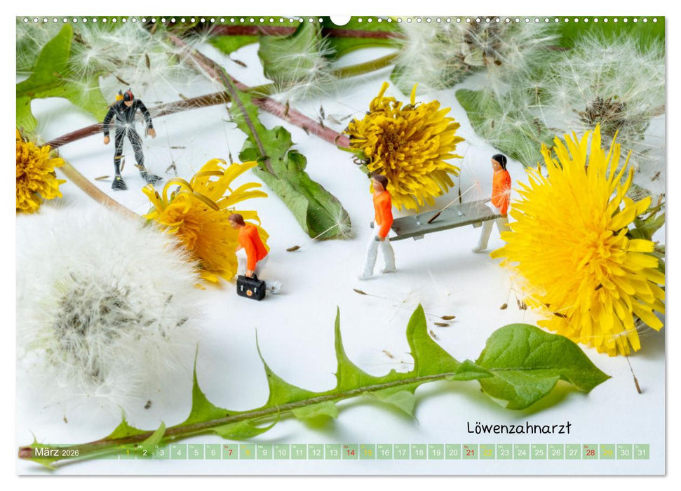 Mandelentzündung ... und andere Mini-Welten (CALVENDO Wandkalender 2026)