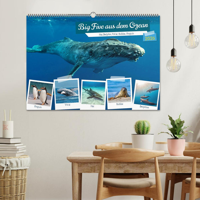 Big Five aus dem Ozean Hai, Delphin, Wal, Robbe, Pinguin (CALVENDO Wandkalender 2026)