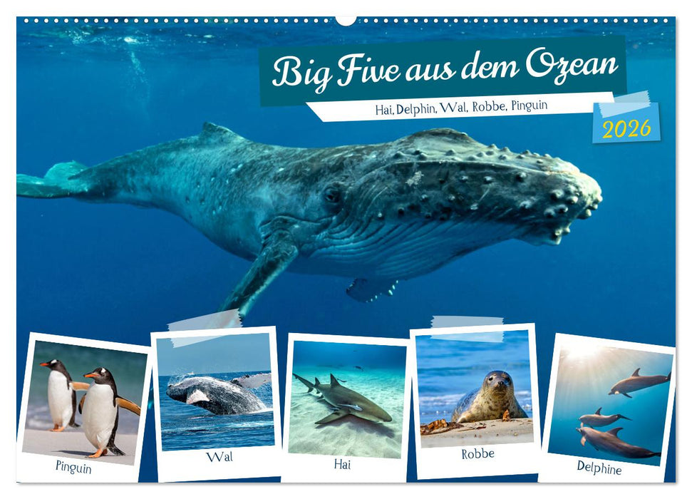 Big Five aus dem Ozean Hai, Delphin, Wal, Robbe, Pinguin (CALVENDO Wandkalender 2026)