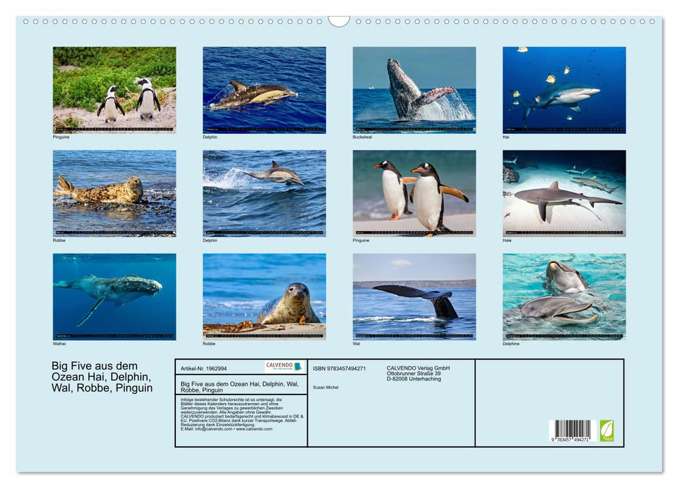Big Five aus dem Ozean Hai, Delphin, Wal, Robbe, Pinguin (CALVENDO Wandkalender 2026)