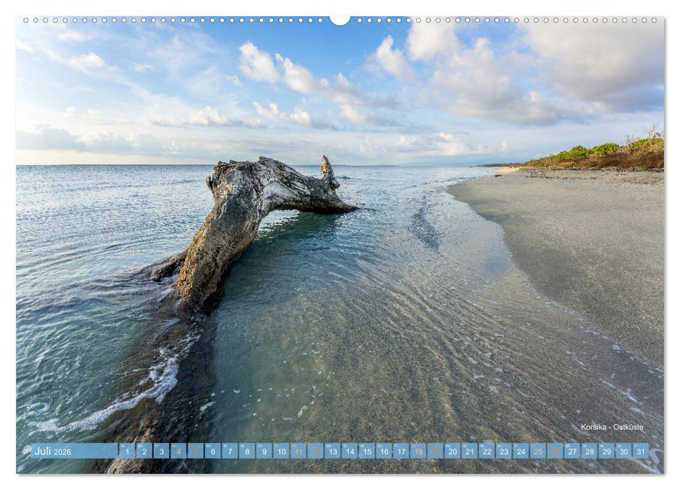 Mehr Licht am Meeresrand (CALVENDO Premium Wandkalender 2026)