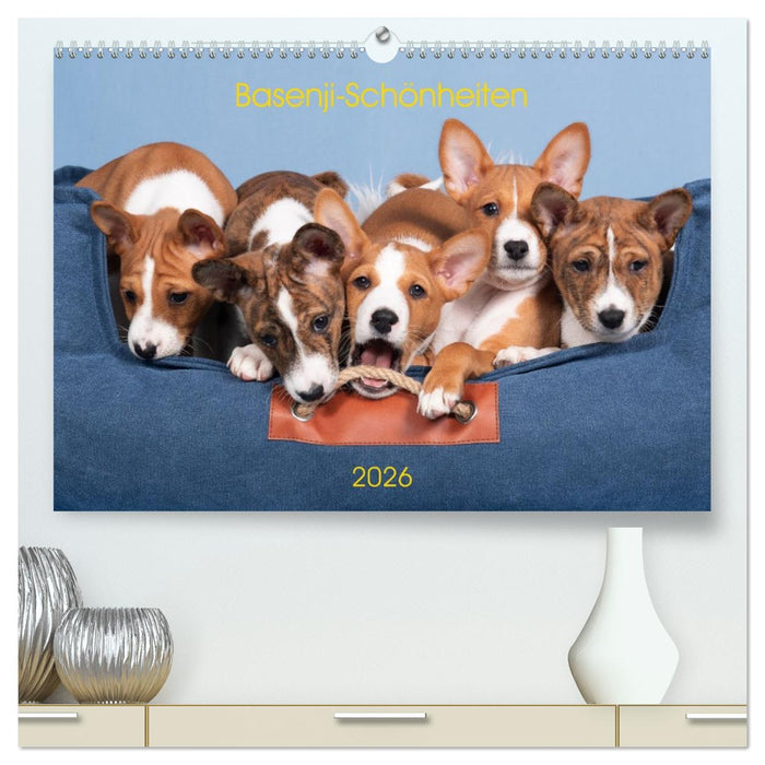 Basenji-Schönheiten (CALVENDO Premium Wandkalender 2026)