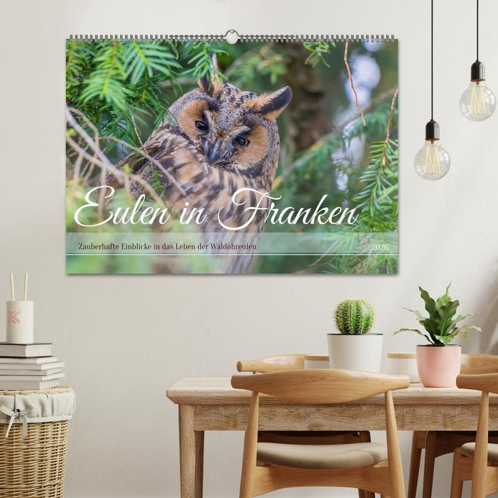 Eulen in Franken (CALVENDO Wandkalender 2026)