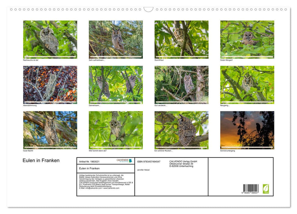 Eulen in Franken (CALVENDO Wandkalender 2026)