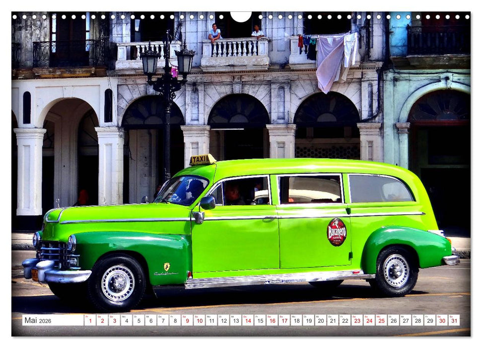 Kult-Kombis in Kuba - Oldtimer-Raritäten der Fünfziger Jahre (CALVENDO Wandkalender 2026)