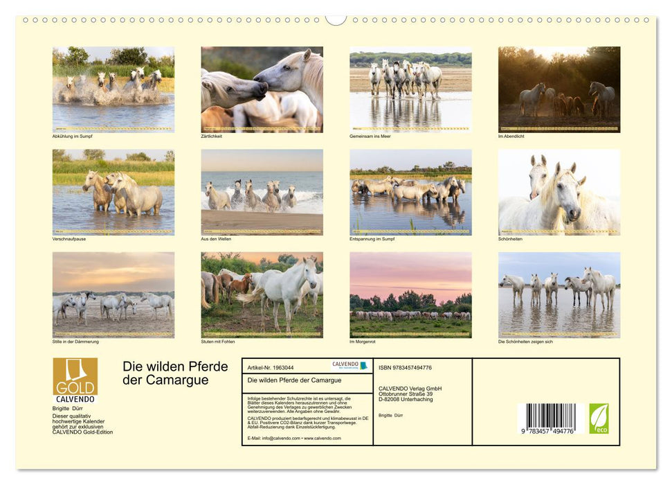 Die wilden Pferde der Camargue (CALVENDO Premium Wandkalender 2026)