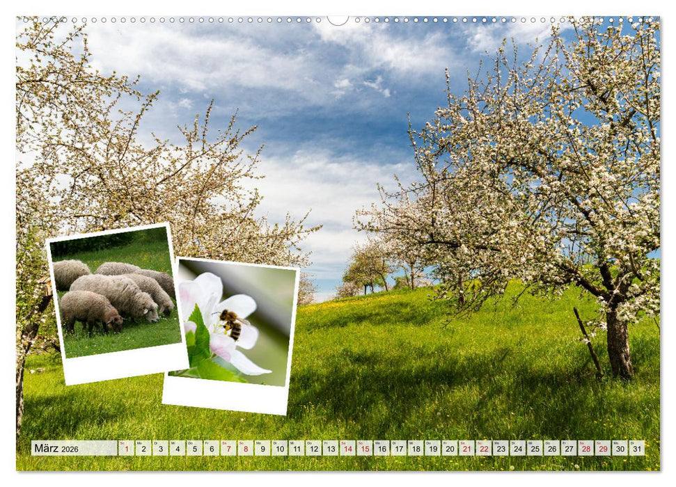 Einkaufen im Hofladen (CALVENDO Premium Wandkalender 2026)