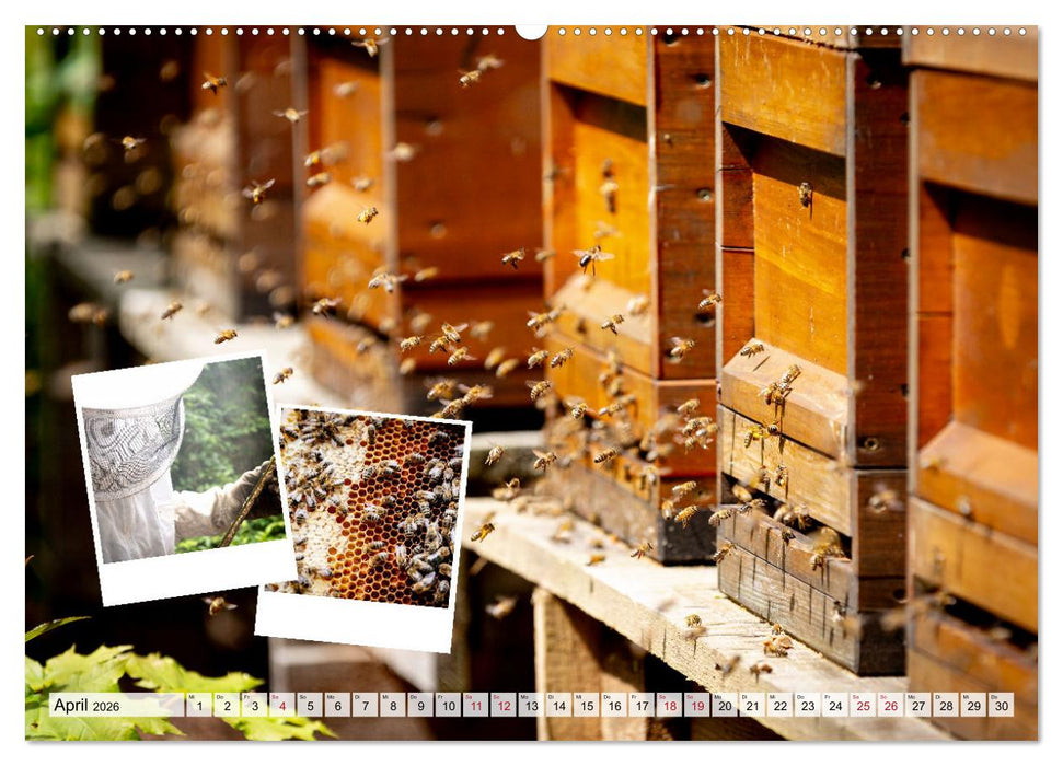 Einkaufen im Hofladen (CALVENDO Premium Wandkalender 2026)