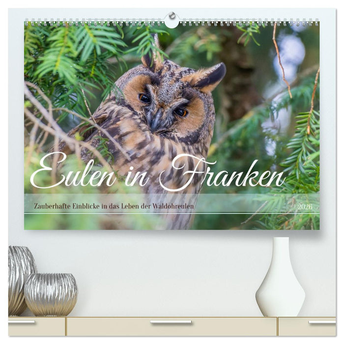 Eulen in Franken (CALVENDO Premium Wandkalender 2026)