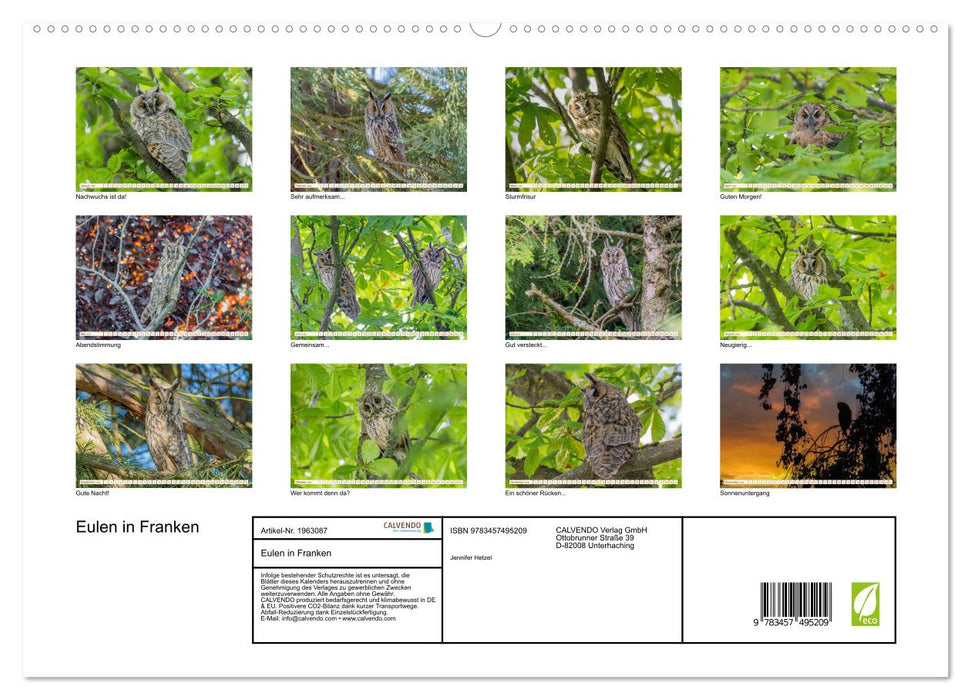 Eulen in Franken (CALVENDO Premium Wandkalender 2026)