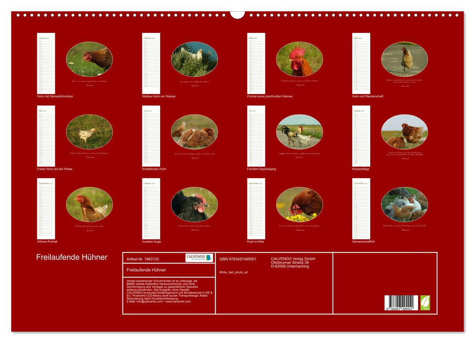 Freilaufende Hühner (CALVENDO Wandkalender 2026)