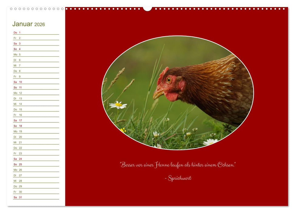 Freilaufende Hühner (CALVENDO Wandkalender 2026)