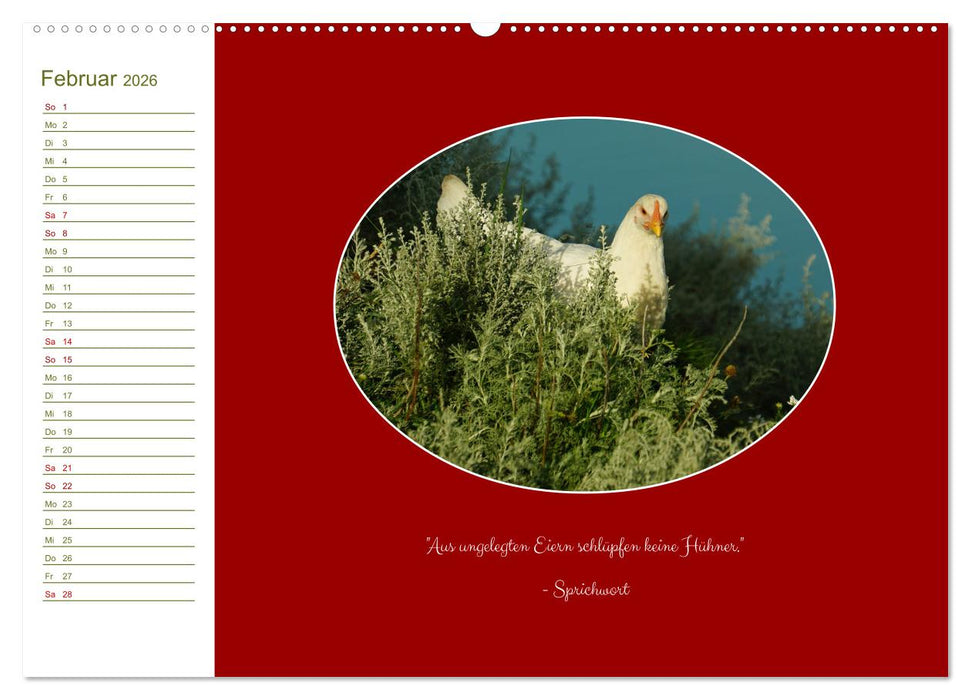 Freilaufende Hühner (CALVENDO Wandkalender 2026)