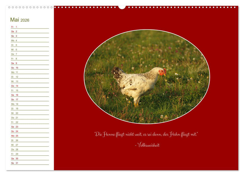 Freilaufende Hühner (CALVENDO Wandkalender 2026)