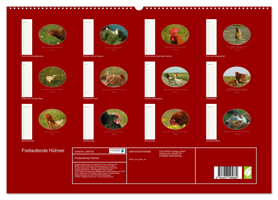 Freilaufende Hühner (CALVENDO Premium Wandkalender 2026)