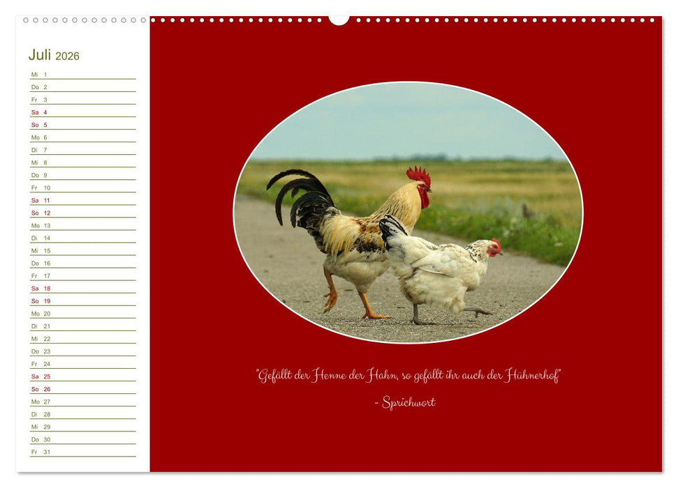 Freilaufende Hühner (CALVENDO Premium Wandkalender 2026)