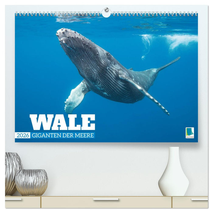 Wale: Giganten der Meere (CALVENDO Premium Wandkalender 2026)