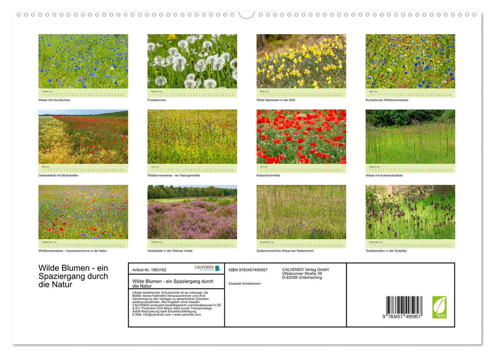 Wilde Blumen - ein Spaziergang durch die Natur (CALVENDO Premium Wandkalender 2026)