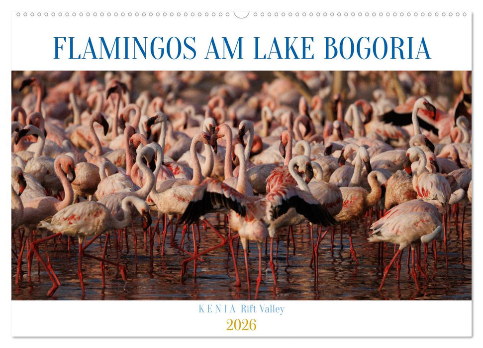 Flamingos am Lake Bogoria - Kenia (CALVENDO Wandkalender 2026)