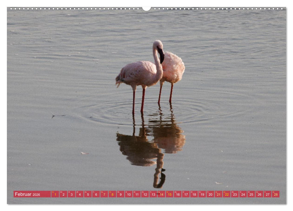 Flamingos am Lake Bogoria - Kenia (CALVENDO Wandkalender 2026)