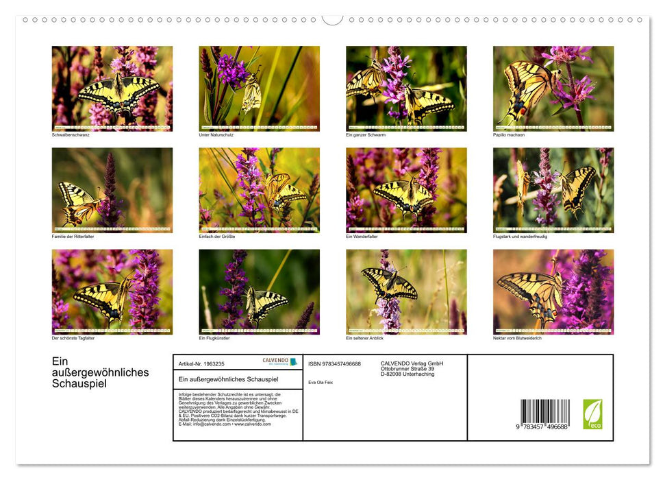 Ein außergewöhnliches Schauspiel (CALVENDO Premium Wandkalender 2026)