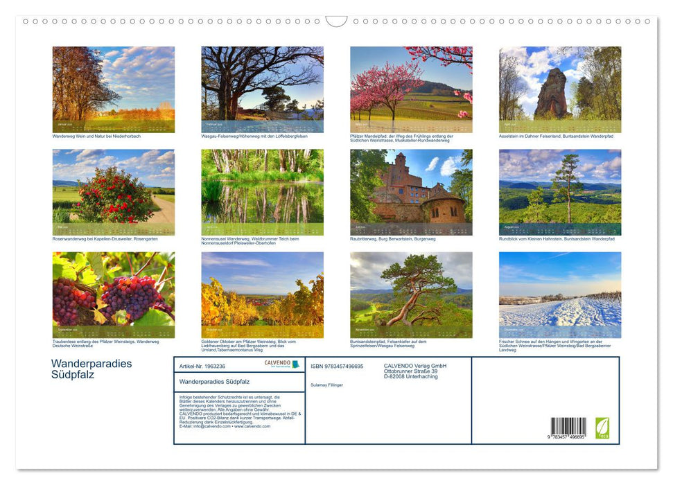 Wanderparadies Südpfalz (CALVENDO Wandkalender 2026)