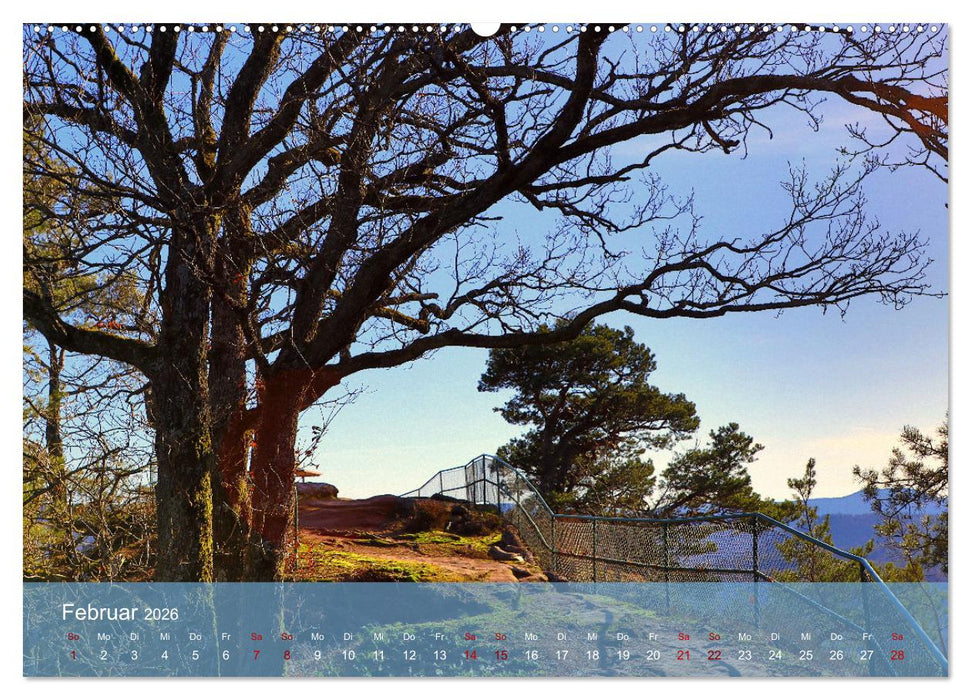 Wanderparadies Südpfalz (CALVENDO Wandkalender 2026)