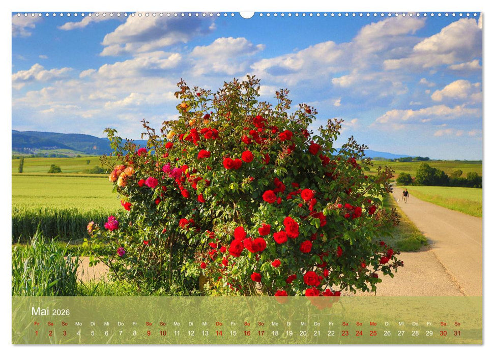 Wanderparadies Südpfalz (CALVENDO Wandkalender 2026)
