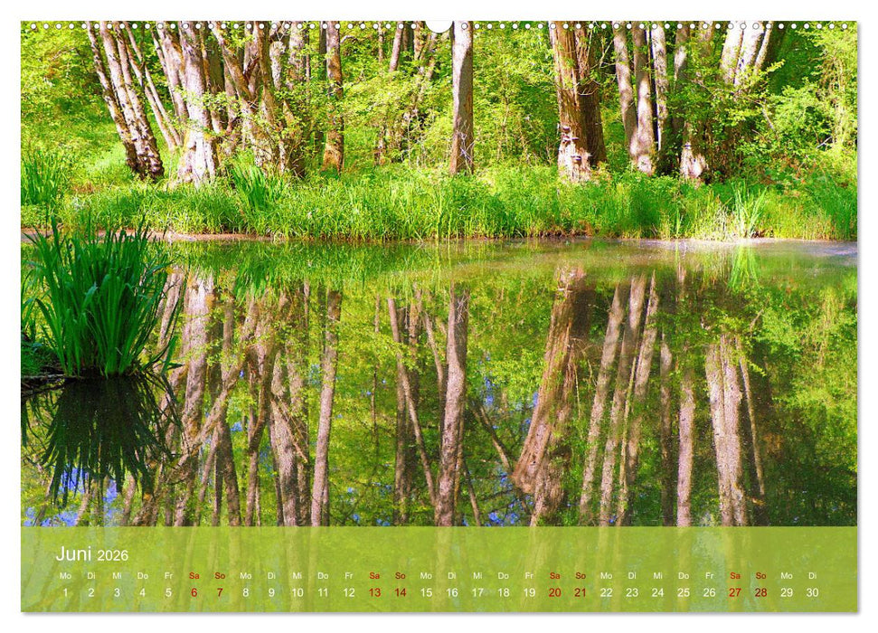 Wanderparadies Südpfalz (CALVENDO Wandkalender 2026)