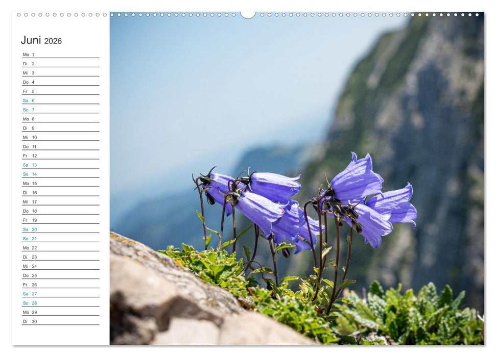 Faszination Alpen (CALVENDO Wandkalender 2026)