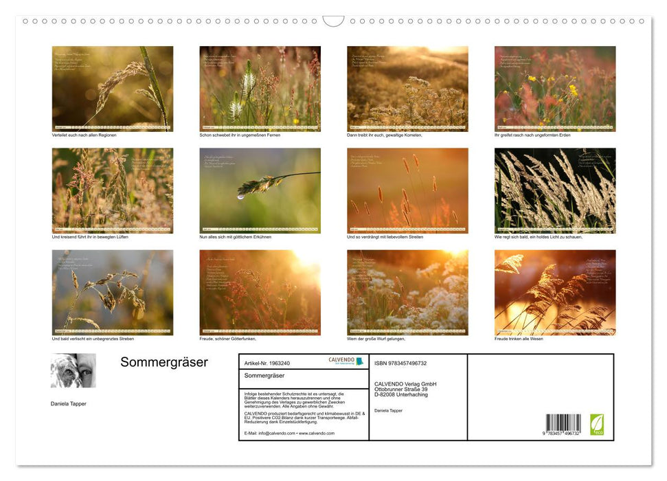 Sommergräser (CALVENDO Wandkalender 2026)