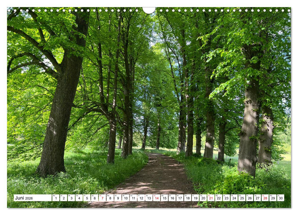 Lingen Ems (CALVENDO Wandkalender 2026)