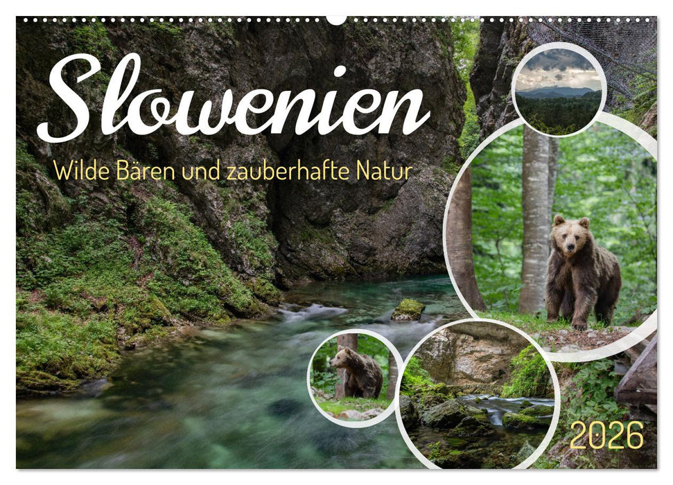 Slowenien - Wilde Bären und zauberhafte Natur (CALVENDO Wandkalender 2026)